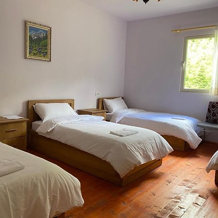 Vita Guesthouse Bajram Curri エクステリア 写真